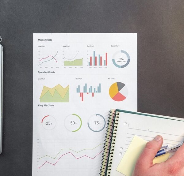 corporate strategy and performance